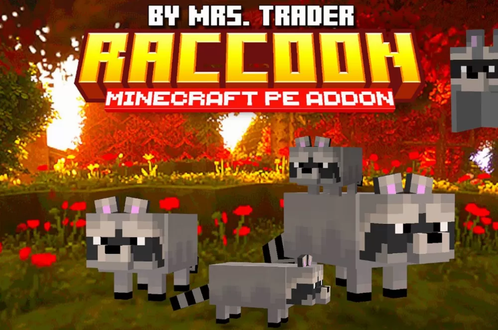 Raccoon's Addon