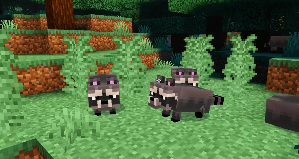 Raccoon's Addon