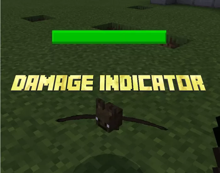 Damage Indicator Addon