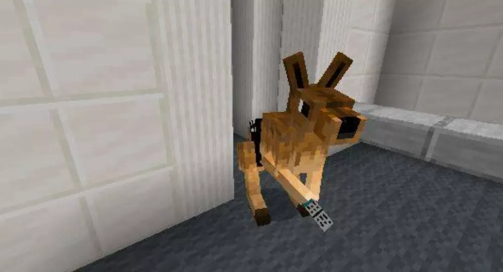 Emotional Support Kangaroo Mod