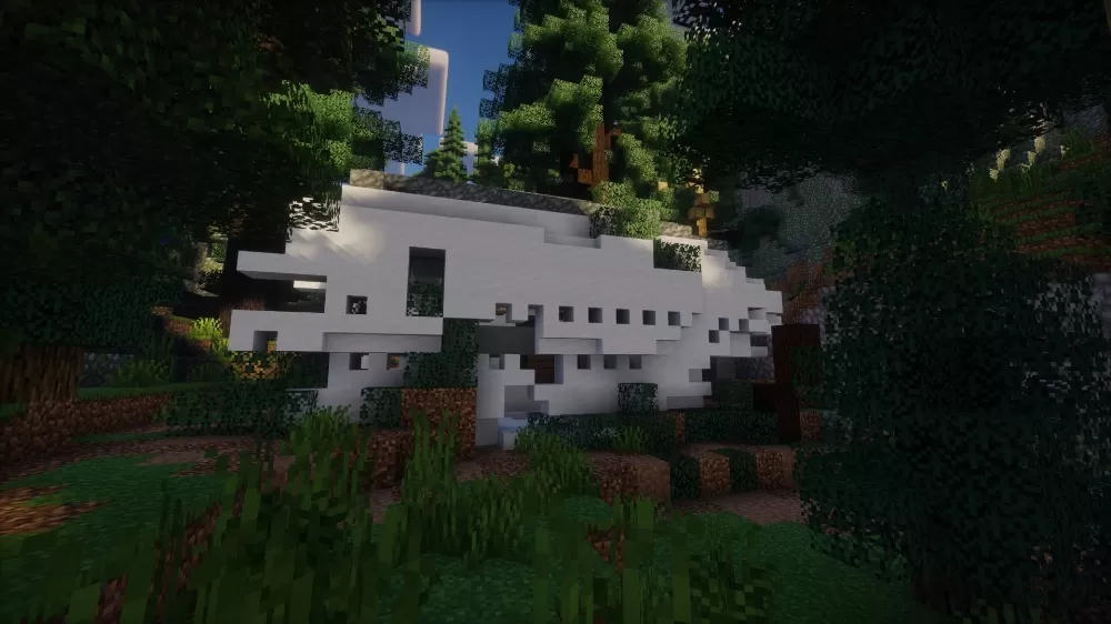 Plane Crash Survival