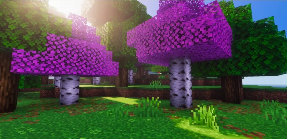Better Nature Tree Textures