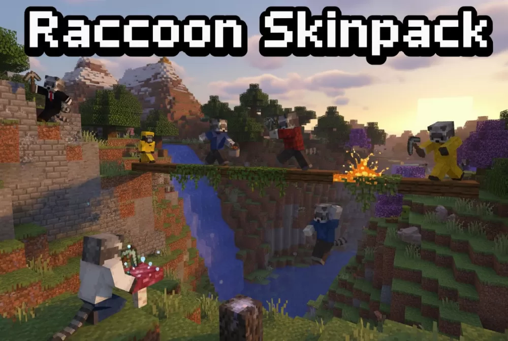 Raccoon Personas Skinpack