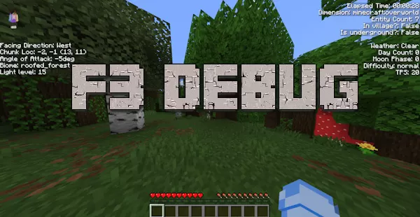 F3 Debug Screen Mod