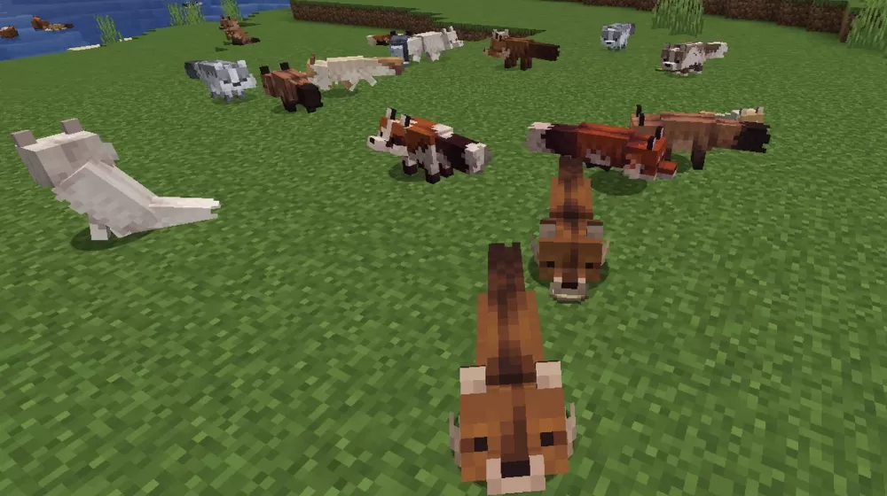 Lanostry's Foxes Texture Pack