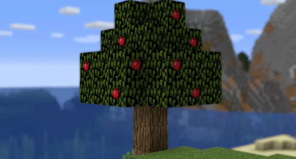 Invisible Item Frame Resource Pack