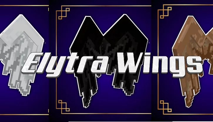 Elytra Wings 3D Textures