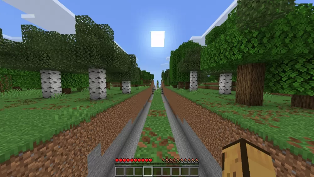 Walk Straight Line Only Addon