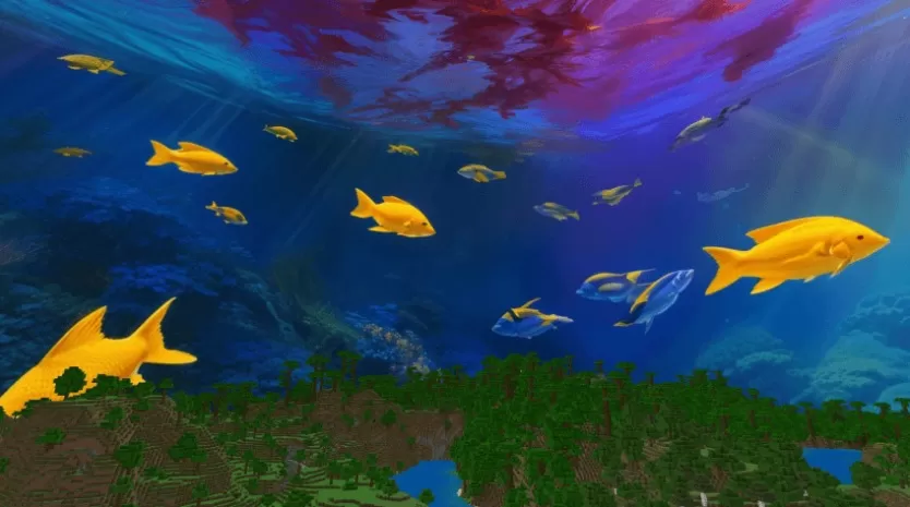Ocean Sky Textures