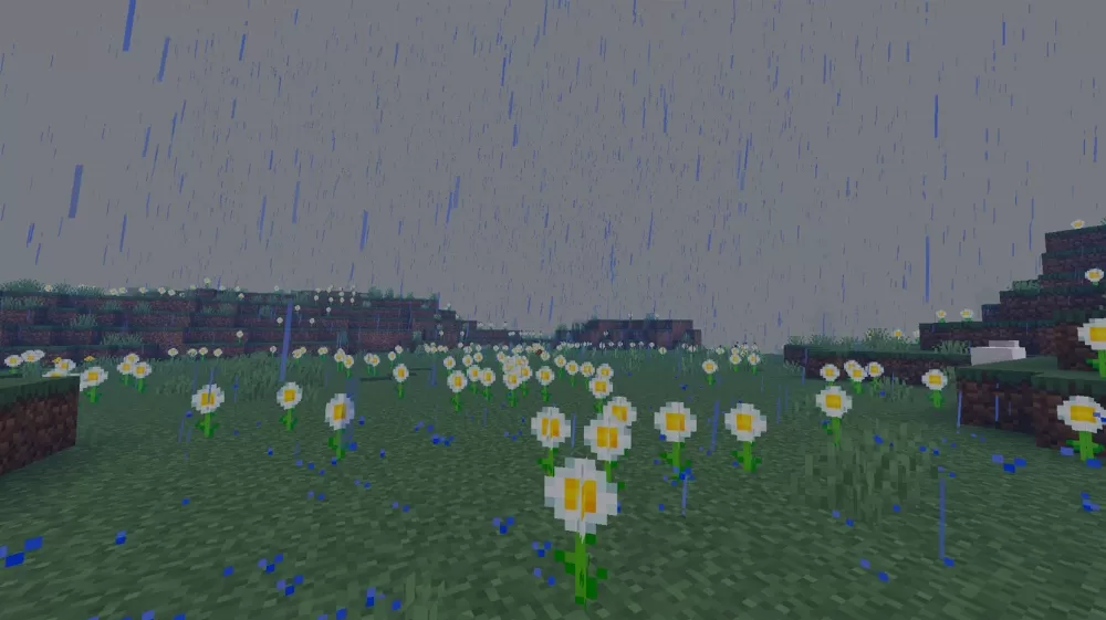 Bicubic Shaders