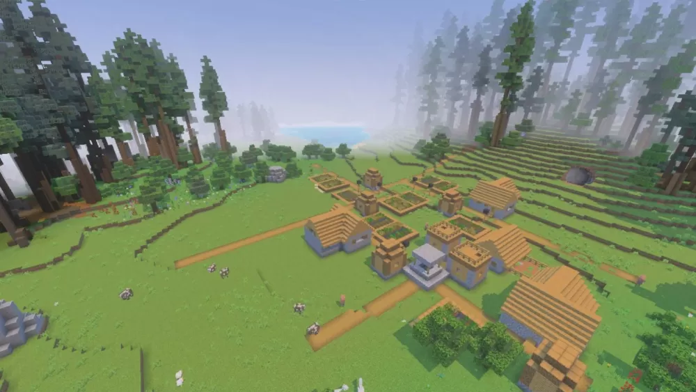 The Giant Curse Forest Map