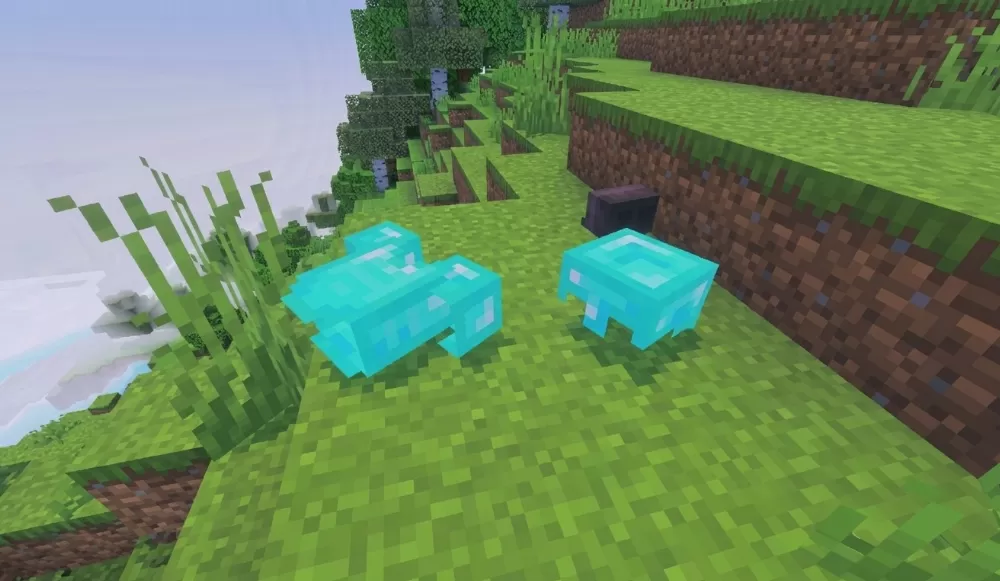 Item Physics