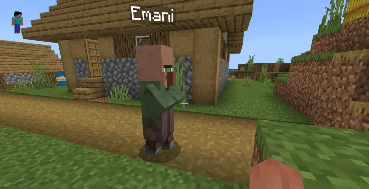 Villager Names Mod