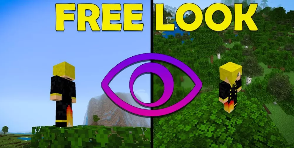  Free Look Resource Pack