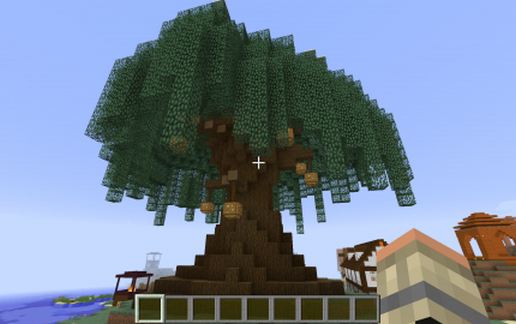 Big Tree