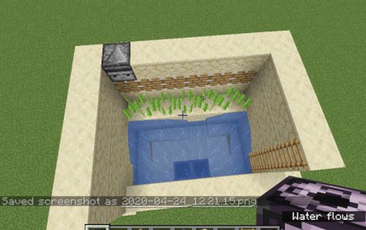 SMALL SUGARCANE FARM