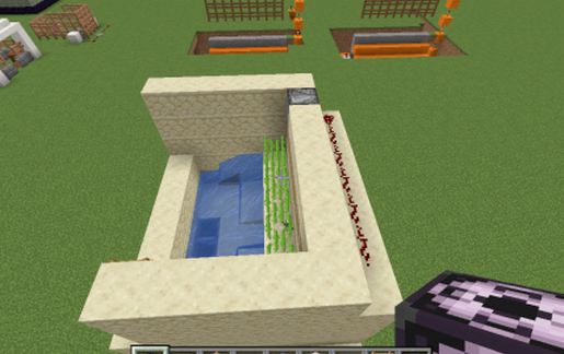 SMALL SUGARCANE FARM