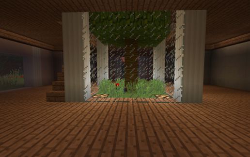 Modern House