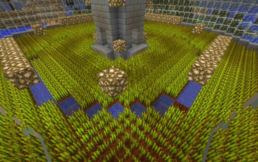 Four Tier Garden