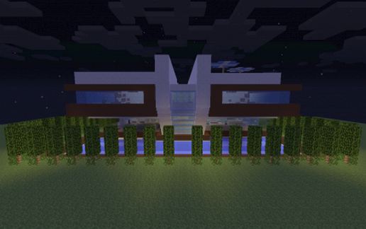 Ultimate Modern House