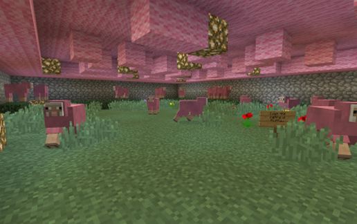 Fluffy Pink Sheep Science Lab
