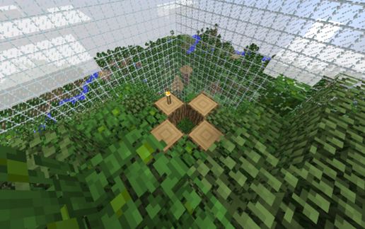 Natural Arena