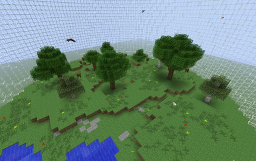 Forest Biosphere