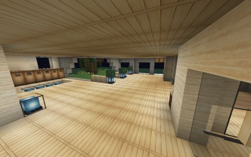 Big Modern House with Elevator