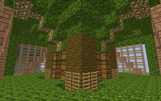 Coco Bean Farm