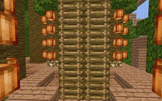 Coco Bean Farm