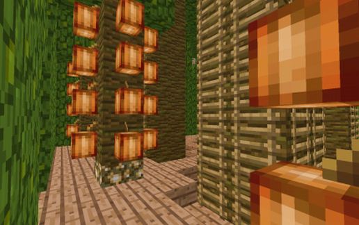 Coco Bean Farm