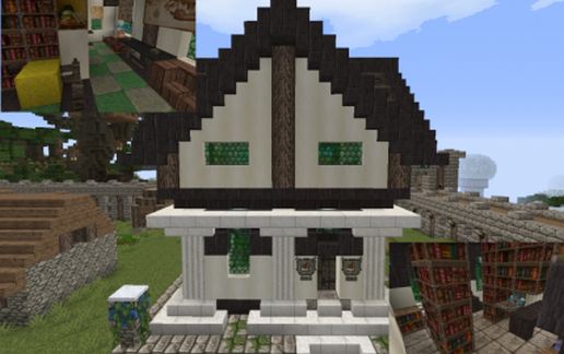 Bone Town Library