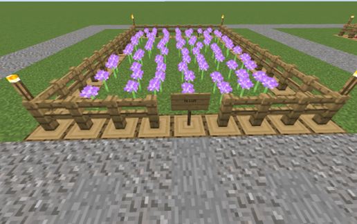 Farm Allum