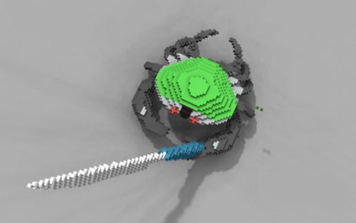 krab knife fight