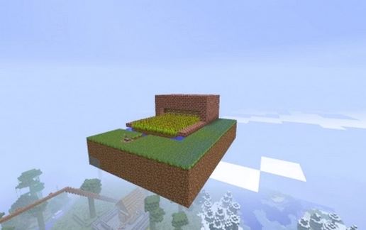 Wheat farm