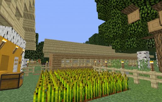 Contemporary House 04 - Egg Farm