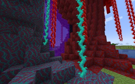 Nether mushroom portal