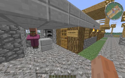 Mini Village