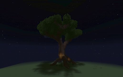 Giant Tree With a house