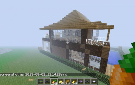Modern Large Foresty House