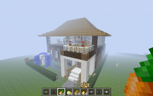 Modern Large Foresty House