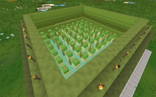 Automatic Cactus farm schematic - building