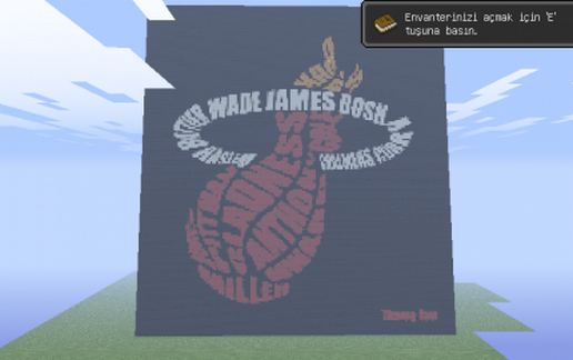 Miami Heat Logo schematic - building