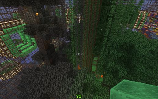 PVP jungle