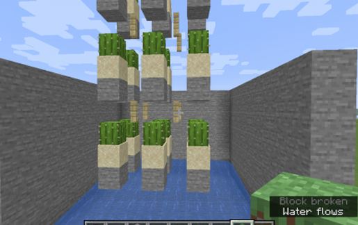Cactus Farm schematic - building
