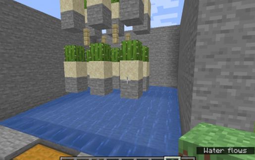 Cactus Farm