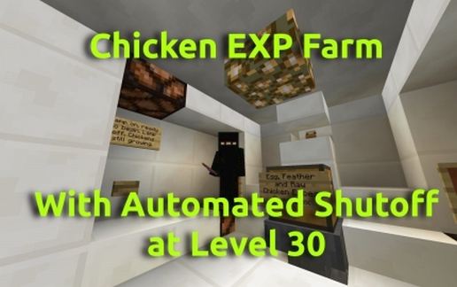 Chicken EXP Farm with Automated Level 30 Shutoff schematic - building