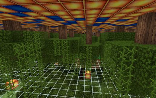 Dark  Arena