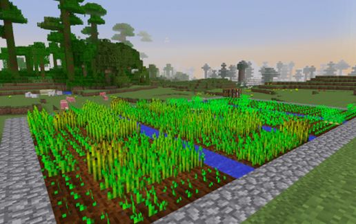 Basic Farm