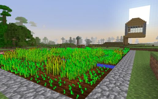 Basic Farm